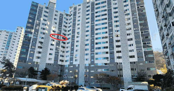 충청남도 천안시 동남구 청수동 219-4 현대아파트 101동 10층1005호 아파트 경매 물건 이미지