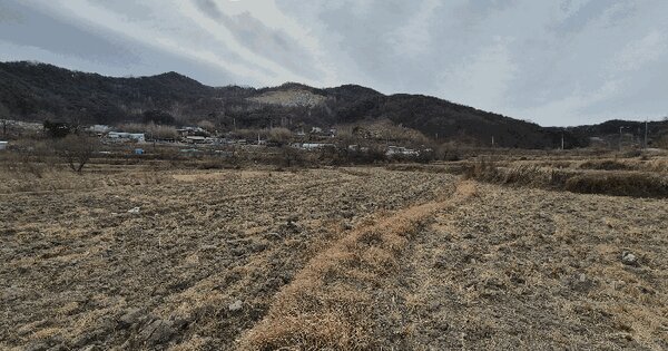 경상북도 칠곡군 기산면 각산리 954 답 경매 물건 이미지