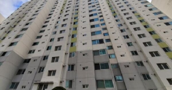 경기도 오산시 서동 125-8 신동아아파트 209동 8층806호 아파트 경매 물건 이미지