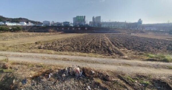 충청남도 홍성군 구항면 마온리 521 답 경매 물건 이미지