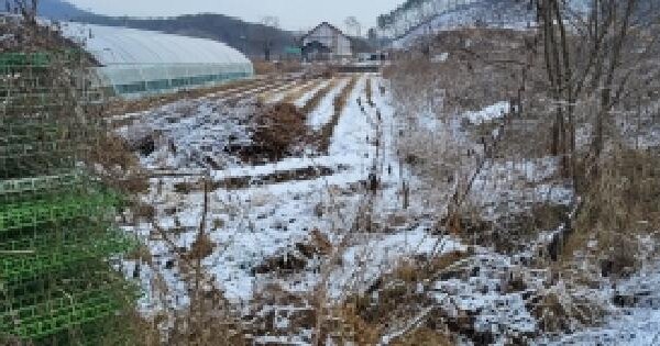 경기도 파주시 파주읍 봉암리 1314 답 경매 물건 이미지