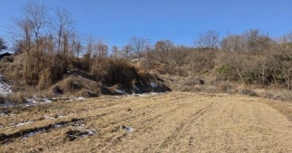 충청남도 당진시 송악읍 오곡리 80 전 경매 물건 이미지
