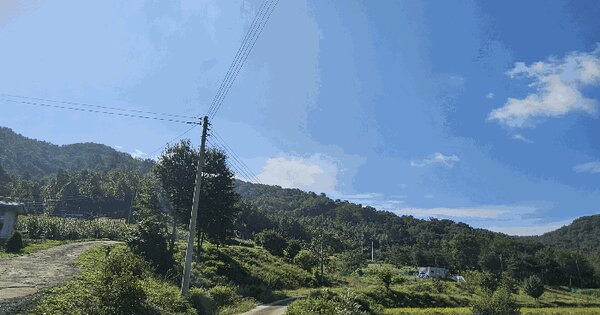 세종특별자치시 연서면 기룡리 산129 임야 경매 물건 이미지