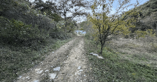 경상북도 칠곡군 지천면 낙산리 44 답 경매 물건 이미지
