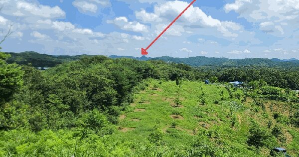 충청남도 당진시 대호지면 장정리 산100-1 임야 경매 물건 이미지