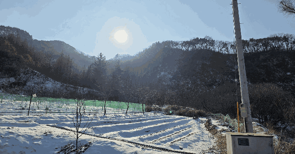 충청북도 괴산군 소수면 아성리 산41-31 임야 경매 물건 이미지