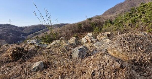 경기도 양평군 양서면 신원리 42-35 임야 경매 물건 이미지