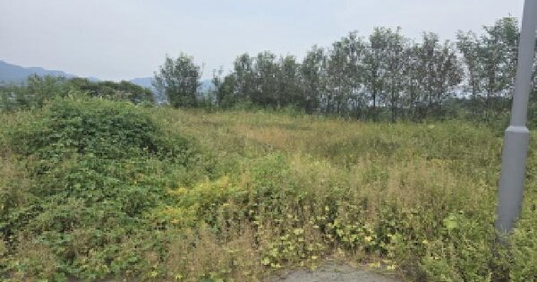 경상북도 칠곡군 석적읍 포남리 1688-11 답 경매 물건 이미지