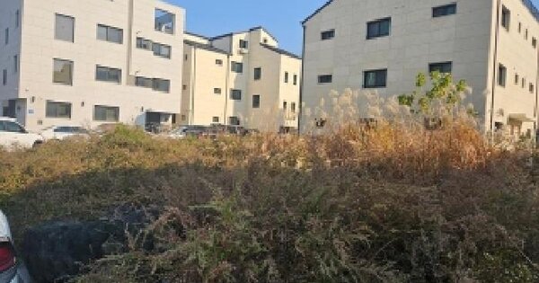 경기도 평택시 고덕동 2183-5 대지 경매 물건 이미지