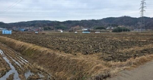 충청남도 홍성군 장곡면 지정리 OOOOO 전 경매 물건 이미지