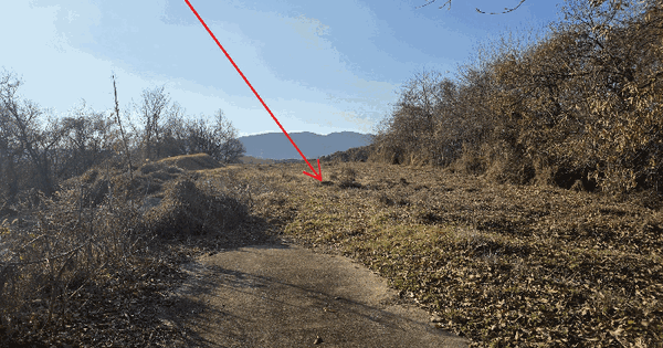 충청남도 홍성군 장곡면 도산리 350 전 경매 물건 이미지