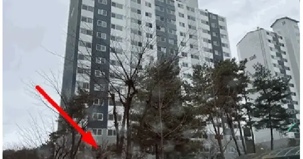 경기도 안성시 중리동 616 동광아파트 107동 2층204호 아파트 경매 물건 이미지