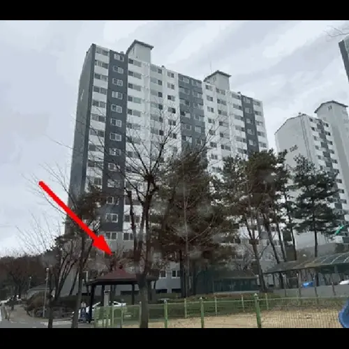 물건 사진