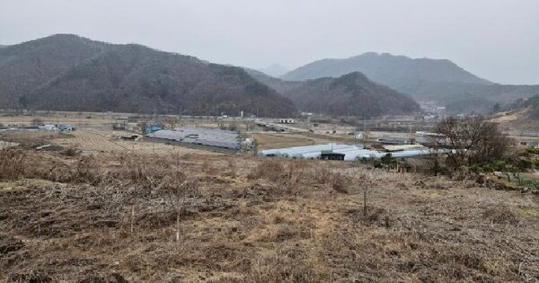 경기도 양평군 단월면 삼가리 353-8 목장용지 경매 물건 이미지