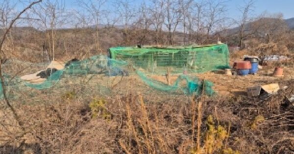 세종특별자치시 장군면 태산리 188-41 임야 경매 물건 이미지