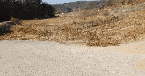 경상북도 안동시 노하동 389 답 경매 물건 이미지