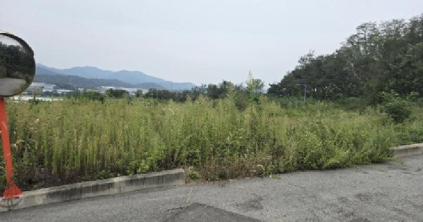 경상북도 칠곡군 기산면 행정리 1681 도로 경매 물건 이미지