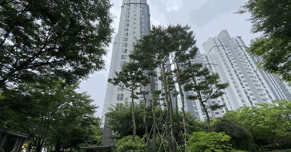 경기도 김포시 장기동 1869-5 청송마을모아미래도엘가 501동 22층2202호 아파트 경매 물건 이미지