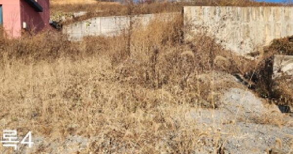 경기도 광주시 곤지암읍 장심리 304-33 대지 경매 물건 이미지