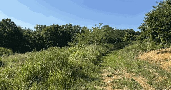 울산광역시 울주군 서생면 화산리 산23-3 임야 경매 물건 이미지