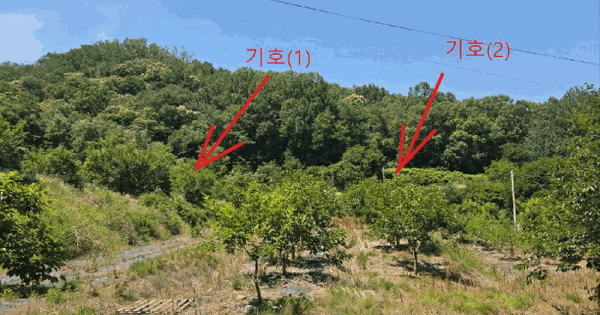 경상북도 칠곡군 지천면 덕산리 709 전 경매 물건 이미지
