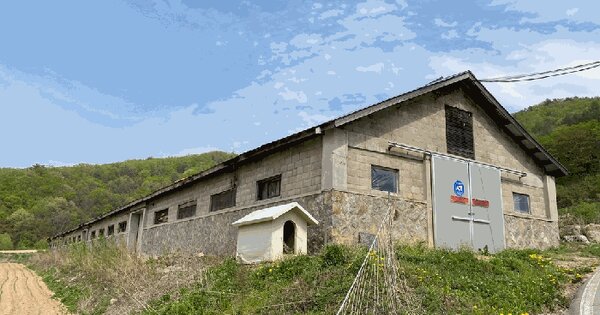 강원특별자치도 평창군 용평면 이목정리 115  동물 및 식물 관련시설 경매 물건 이미지