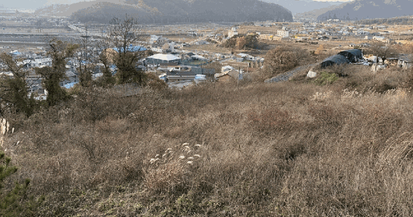 경상북도 영양군 입암면 신구리 30-9 전 경매 물건 이미지