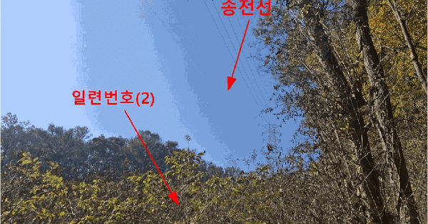 인천광역시 강화군 불은면 두운리 산256-1 임야 경매 물건 이미지