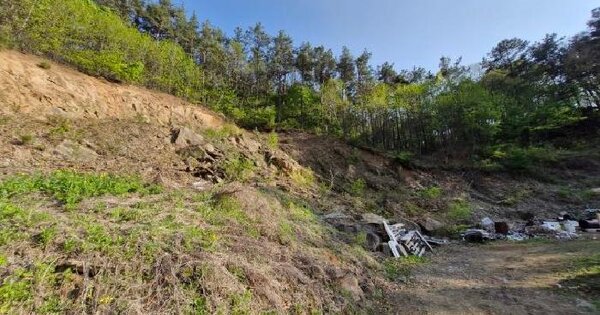 경기도 양평군 용문면 광탄리 842 임야 경매 물건 이미지