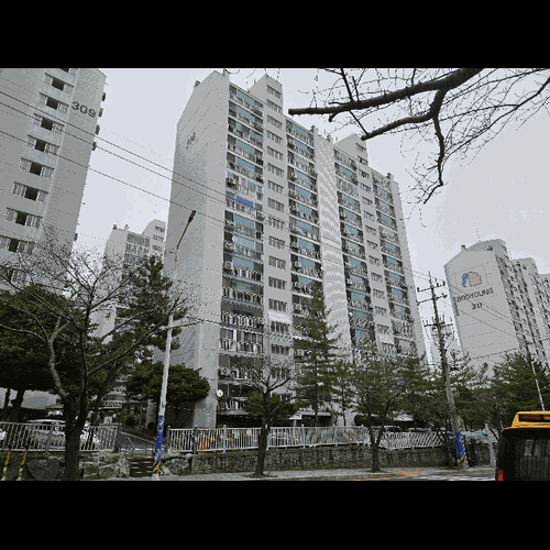 물건 사진