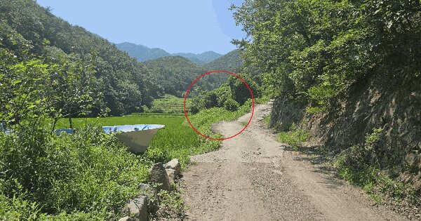 울산광역시 울주군 온양읍 외광리 735 답 경매 물건 이미지