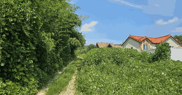 울산광역시 울주군 온양읍 삼광리 879-1 임야 경매 물건 이미지