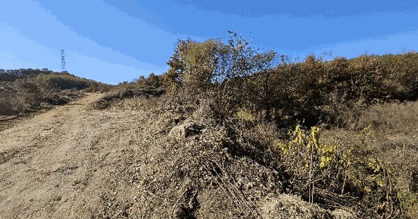 충청남도 아산시 선장면 신동리 산2-28 임야 경매 물건 이미지