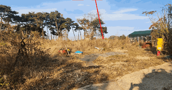 인천광역시 옹진군 영흥면 내리 572-5 임야 경매 물건 이미지