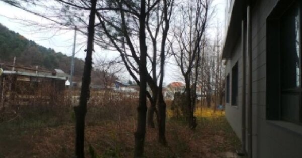 강원특별자치도 춘천시 서면 금산리 1022 대지 경매 물건 이미지