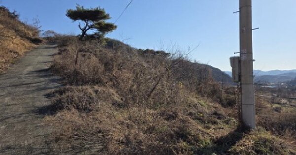 경상북도 청도군 이서면 문수리 산25-13 임야 경매 물건 이미지