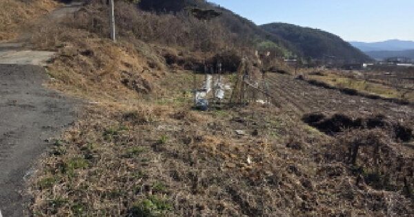 경상북도 청도군 이서면 문수리 131 과수원 경매 물건 이미지