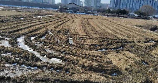 경기도 화성시 향남읍 하길리 211-41 답 경매 물건 이미지