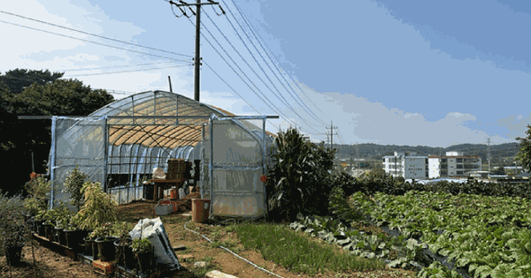 충청남도 당진시 송산면 상거리 417-8 임야 경매 물건 이미지