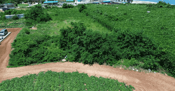 충청남도 당진시 석문면 교로리 100-202 전 경매 물건 이미지