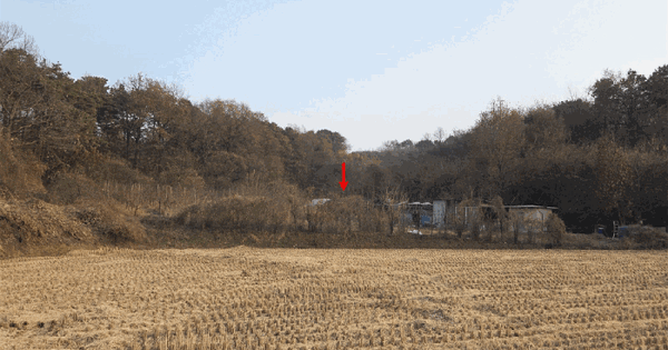 충청남도 천안시 동남구 성남면 봉양리 260 전 경매 물건 이미지