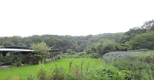 경상북도 예천군 지보면 소화리 산80 임야 경매 물건 이미지
