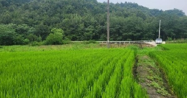 충청남도 공주시 오곡동 583-1 답 경매 물건 이미지