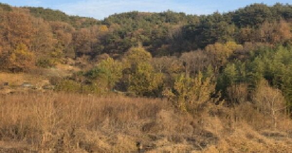 경상북도 성주군 수륜면 수륜리 산22 임야 경매 물건 이미지