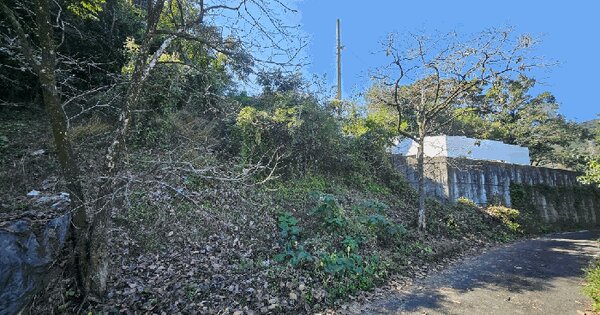 경상북도 경산시 와촌면 신한리 산49 임야 경매 물건 이미지