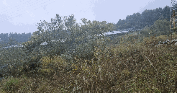 강원특별자치도 홍천군 북방면 북방리 산53-11 임야 경매 물건 이미지