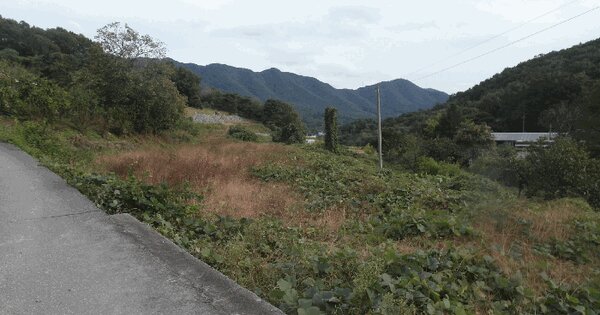 충청남도 논산시 연산면 송정리 483-1 답 경매 물건 이미지