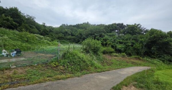 경상북도 구미시 선산읍 교리 194 전 경매 물건 이미지
