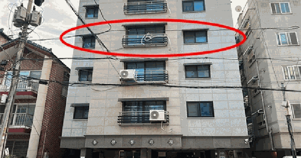 경기도 안산시 상록구 본오동 856-2  4층402호 다세대주택 경매 물건 이미지