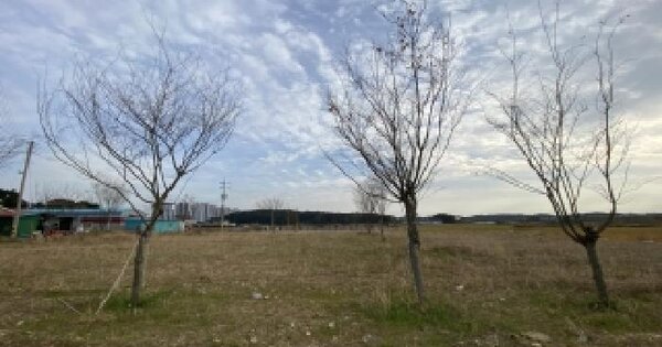 충청남도 당진시 송산면 가곡리 319-30 염전 경매 물건 이미지